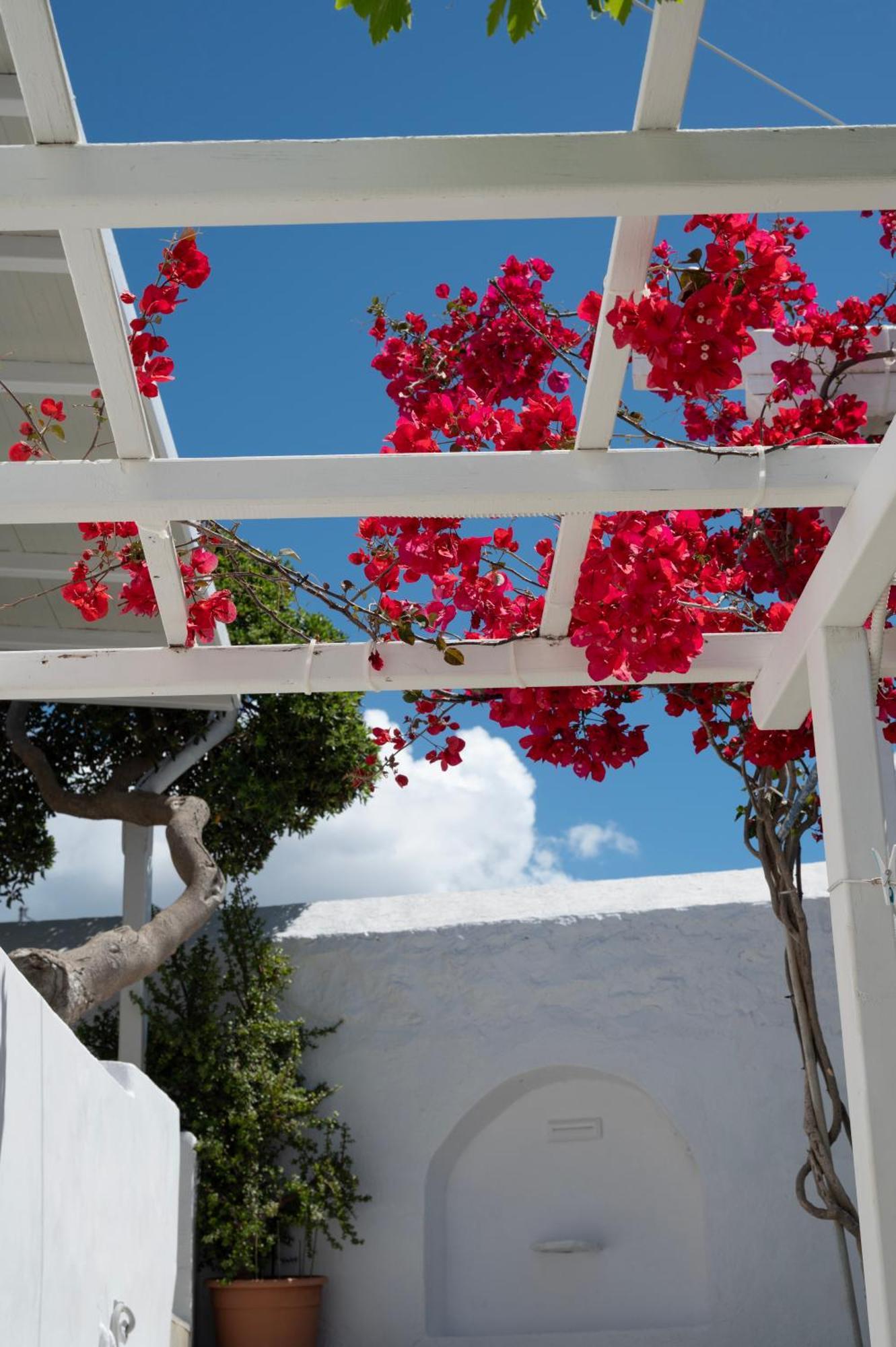 فندق Boutique Di Vito Mykonos Town المظهر الخارجي الصورة