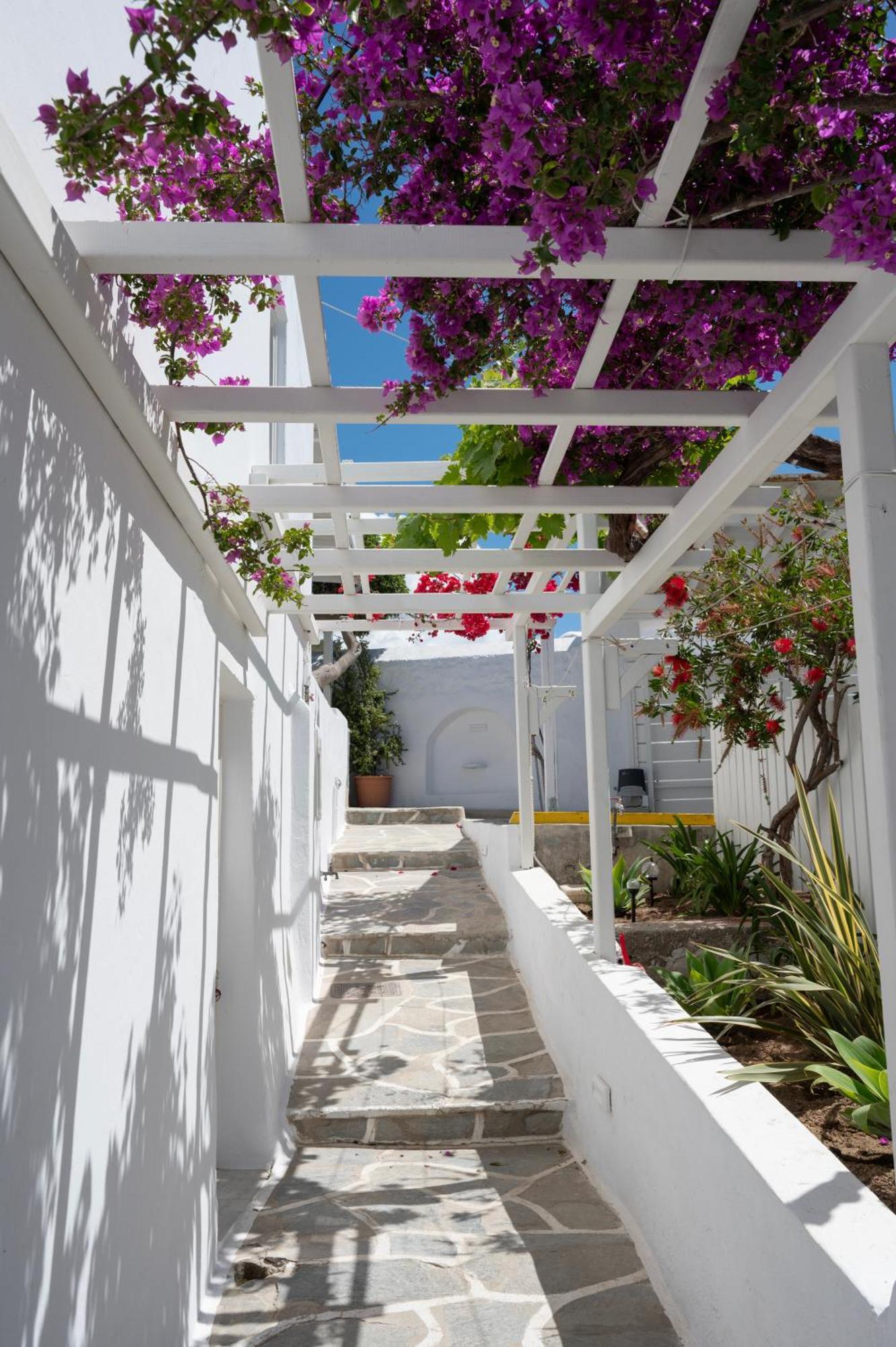 فندق Boutique Di Vito Mykonos Town المظهر الخارجي الصورة